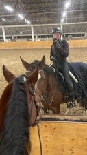 Reitsattel pferd stockmaß gebraucht kaufen  Bremen
