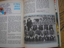 Ternana articolo squadra usato  Torino