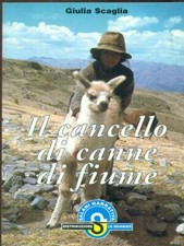 Cancello canne fiume usato  Italia