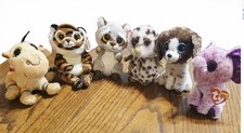22 beanie boo stuffed animals for sale 22 beanie boo stuffed animals for sale Eugene