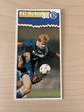Panini champion stickers gebraucht kaufen  Markt Indersdorf