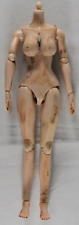 Scale jointed female for sale  Mooresville