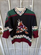 Phoenix coyotes nhl for sale  Anaheim