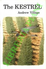 Village andrew the usato  Italia