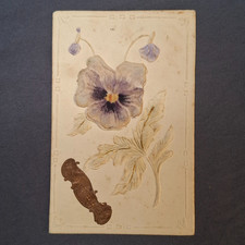 Cpa carte postale d'occasion  Flavy-le-Martel