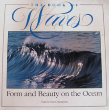 The book waves usato  Reggio Calabria