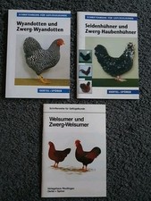 Wyandotten zwerg wyandotten gebraucht kaufen  Doberlug-Kirchhain