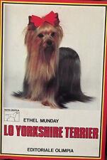 Yorkshire terrier ethel usato  Noceto
