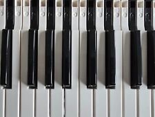 Keys springs korg for sale  LARBERT