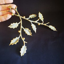 Ramo agrifoglio decorativo usato  Vertemate con Minoprio