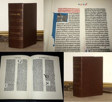 Biblia gutenberg bibel gebraucht kaufen  Heimbuchenthal