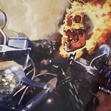 GHOST RIDER 31 KEY 1º aplicativo BARÃO SKULLFIRE SUYDAM IMPRESSÃO BAIXA QUASE PERFEITO V 6 VINGADORES 1 CO, usado comprar usado  Enviando para Brazil