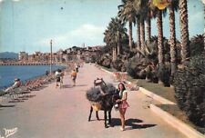 Cannes coin jardin d'occasion  Rioz