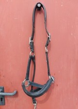 Kieffer lederhalfter leder gebraucht kaufen  Müden