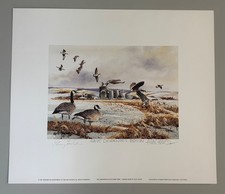 1997 washington duck for sale  Chicago