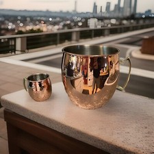 Caneca gigante grande Moscow Mule canecas de chá gelado cerveja 5 litros 192 oz comprar usado  Enviando para Brazil