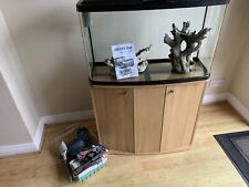 Marina vue fish for sale  ALTRINCHAM