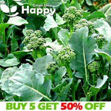 Vegetable seeds broccoletto for sale  Shipping to Ireland