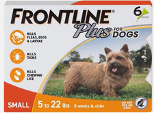 New frontline plus for sale  Wharton