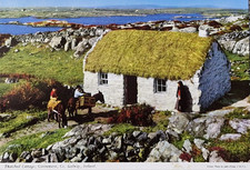 Thatched cottage connemara for sale  DUNDEE