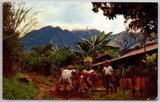 Costa rica mountain for sale  Montgomery