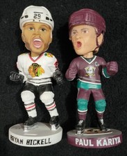 Ducks blackhawks nhl for sale  Spring Hill
