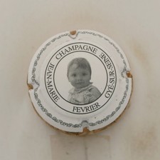 Capsule champagne février d'occasion  Lamotte-Beuvron