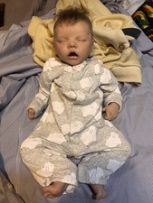 Reborn baby doll. for sale  Tampa