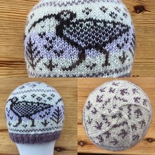 Fair isle curlew for sale  STIRLING