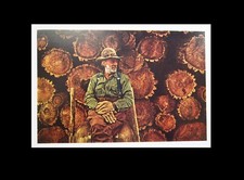 James bama mountain for sale  Houston