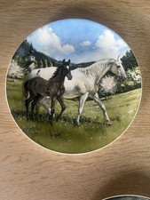 Noble horse spode for sale  YORK