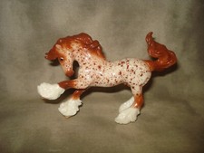 leopard appaloosa for sale leopard appaloosa for sale Pearce