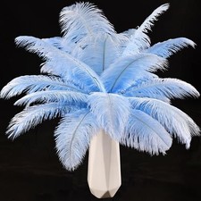 Baby blue ostrich for sale  Lathrop