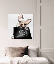 Oliver gal frenchie for sale  Brooklyn
