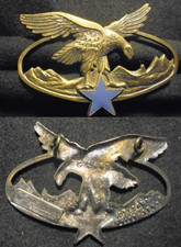 Insigne militaire brevet d'occasion  Meung-sur-Loire