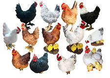 Muwse hahn huhn gebraucht kaufen  Aalen