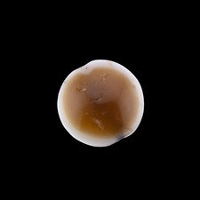 Olho mágico indo tibetano do Himalaia ou conta de ágata olho de cavalo Lukmik [Ø2,3cm, 8 gramas] comprar usado  Enviando para Brazil