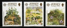 Europa jersey 1986 d'occasion  Marsac-sur-l'Isle