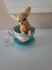 Cup tea chihuahua for sale  USA