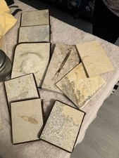 Konvolut versteinerungen solnh gebraucht kaufen  Bruchsal