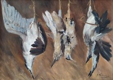 Antonio urso nature usato  Napoli