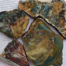 Rimrock morrisonite jasper for sale  Halfway