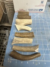 Pcs elk antler for sale  Leander