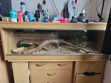 Swell reptiles vivarium for sale  COVENTRY