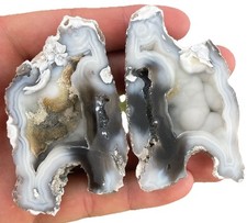 Agatized corral geode for sale  Hollywood