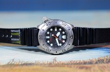 Citizen promaster titanium gebraucht kaufen  Nürnberg