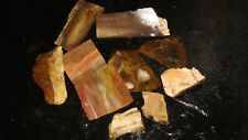 Old mixed petrified for sale  Dyer