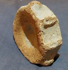 Fossilised ichthyosaur vertebr for sale  READING