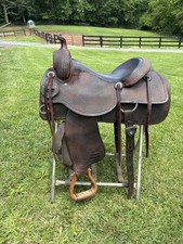 Sean ryon reining for sale  Potomac