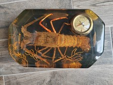 énorme langouste inclusion d'occasion  Tours-